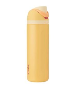Disney Princess Insulated Water Bottle with Straw