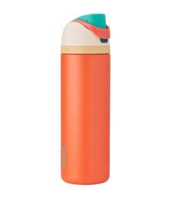 Disney Princess Moana Insulated Water Bottle